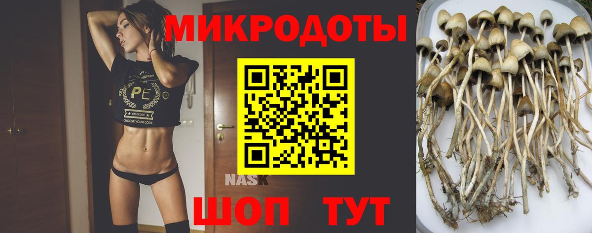 Псилоцибиновые грибы ЛСД Якутск