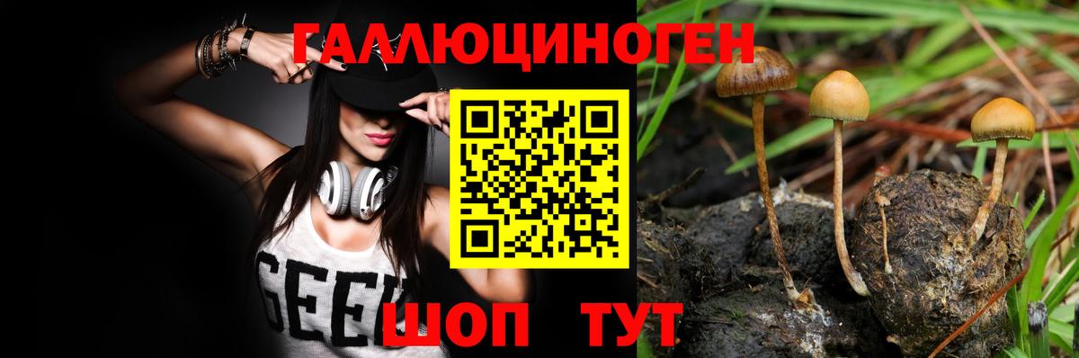 Псилоцибиновые грибы ЛСД  Галлюциногенные грибы Cubensis  Вход с VPN  Якутск 